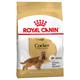 2 x 12 kg Cocker Adult Großgebinde Royal Canin Hundefutter trocken