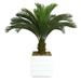 Vintage Home 54-inch Tall Cycas Palm Tree with 14-inch Planter - 54"