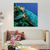 East Urban Home A Feeding Hawksbill Sea Turtle by Brent Barnes - Gallery-Wrapped Canvas Giclee Print Canvas, in Black/Blue/Green | Wayfair