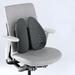 Umber Rea Waist Cushion Waist Cushion Pillow Office Chair Seat Waist Pillow Waist By General Motors in Gray | 15.74 H x 17.32 W x 3.93 D in | Wayfair
