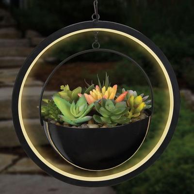 Faux Succulent Solar Orb Lantern Black , Black