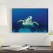 East Urban Home Hawksbill Sea Turtle by Amanda Nicholls - Wrapped Canvas Photograph Print Metal in Blue | 26 H x 40 W x 1.5 D in | Wayfair