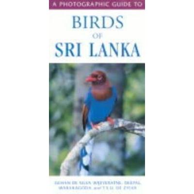 A Photographic Guide To Birds Of Sri Lanka