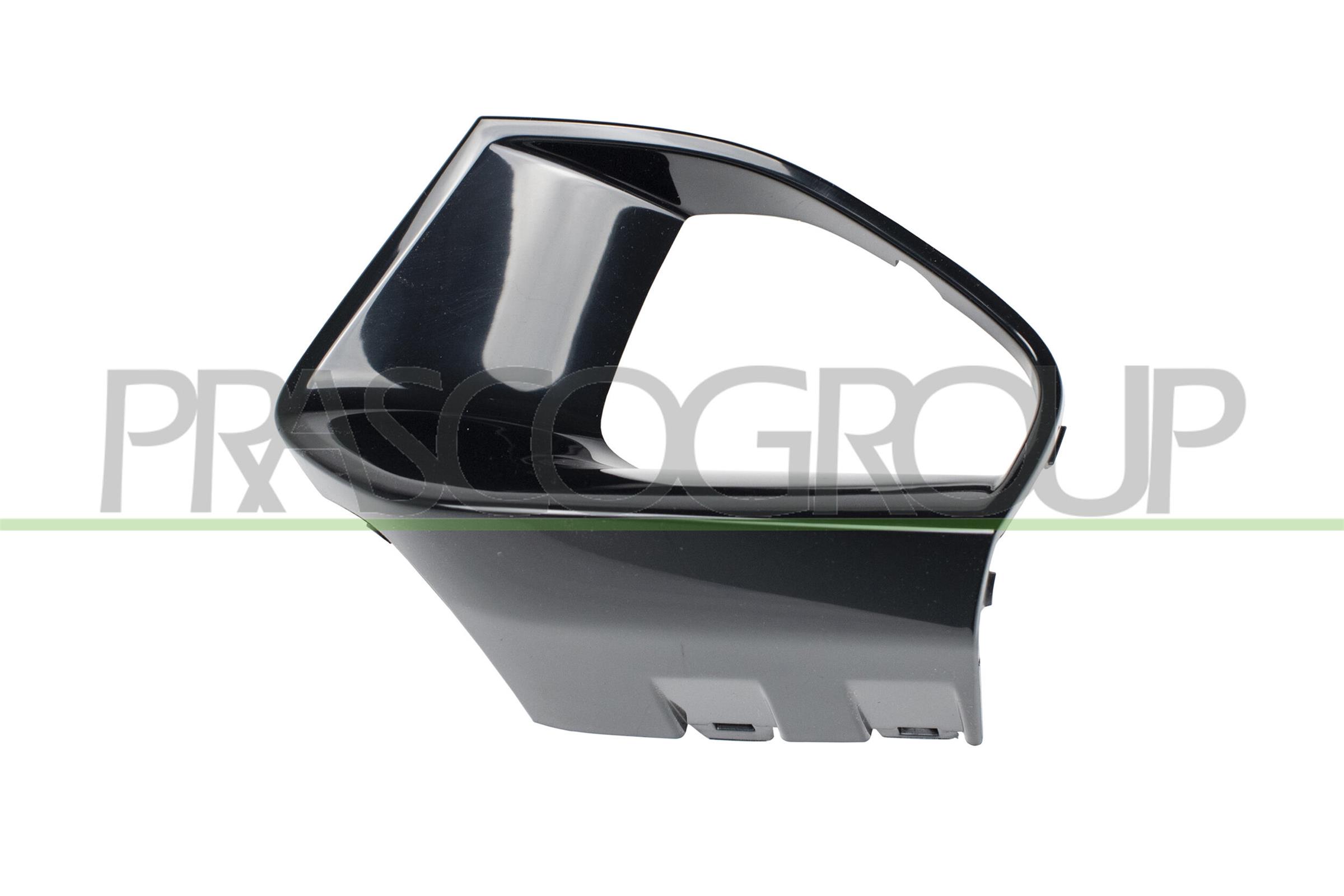 PRASCO Rahmen, Nebelscheinwerfer BM0341247 rechts schwarz für BMW 51117471518 Image