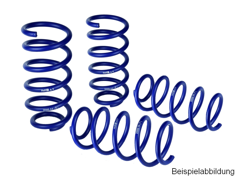H&R Fahrwerksatz, Federn Sportfedersätze/Performance Lowering Springs für NISSAN 29233-1