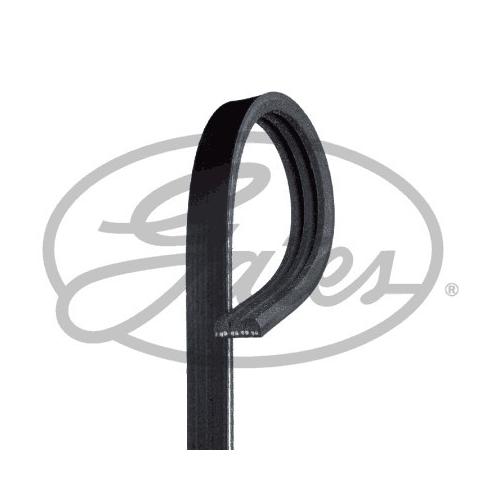 GATES Keilrippenriemen Micro-V® Stretch Fit® schwarz für FIAT VAUXHALL OPEL 55227895 948135 3PK856SF