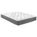 Twin 10" Hybrid Mattress - Crafted Sleep | 84 H x 72 W 10 D in Wayfair XCH2510BXCK