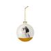 PetOrama Pet Portrait Christmas Ball Ornaments - Shih Tzu Glass, Silicone in Blue/White | 11 H x 11 W x 3.5 D in | Wayfair ST00003