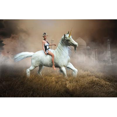 Fototapete PAPERMOON "Einhorn Fantasy Elf", bunt, B:4,00m L:2,60m, Vlies, Tapeten