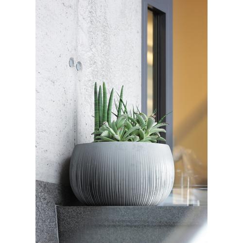 "Blumentopf PROSPERPLAST ""Beton Bowl"" Pflanzgefäße grau (beton) Deko Ø48cm x 30cm"