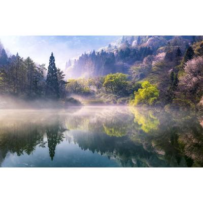 Fototapete PAPERMOON "Photo-Art GWANGSEOP EOM, MORGEN RUHIG", bunt, B:5,00m L:2,80m, Vlies, Tapeten Image