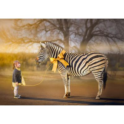 Fototapete PAPERMOON "Mädchen mit Zebra", bunt, B:3,00m L:2,23m, Vlies, Tapeten Image
