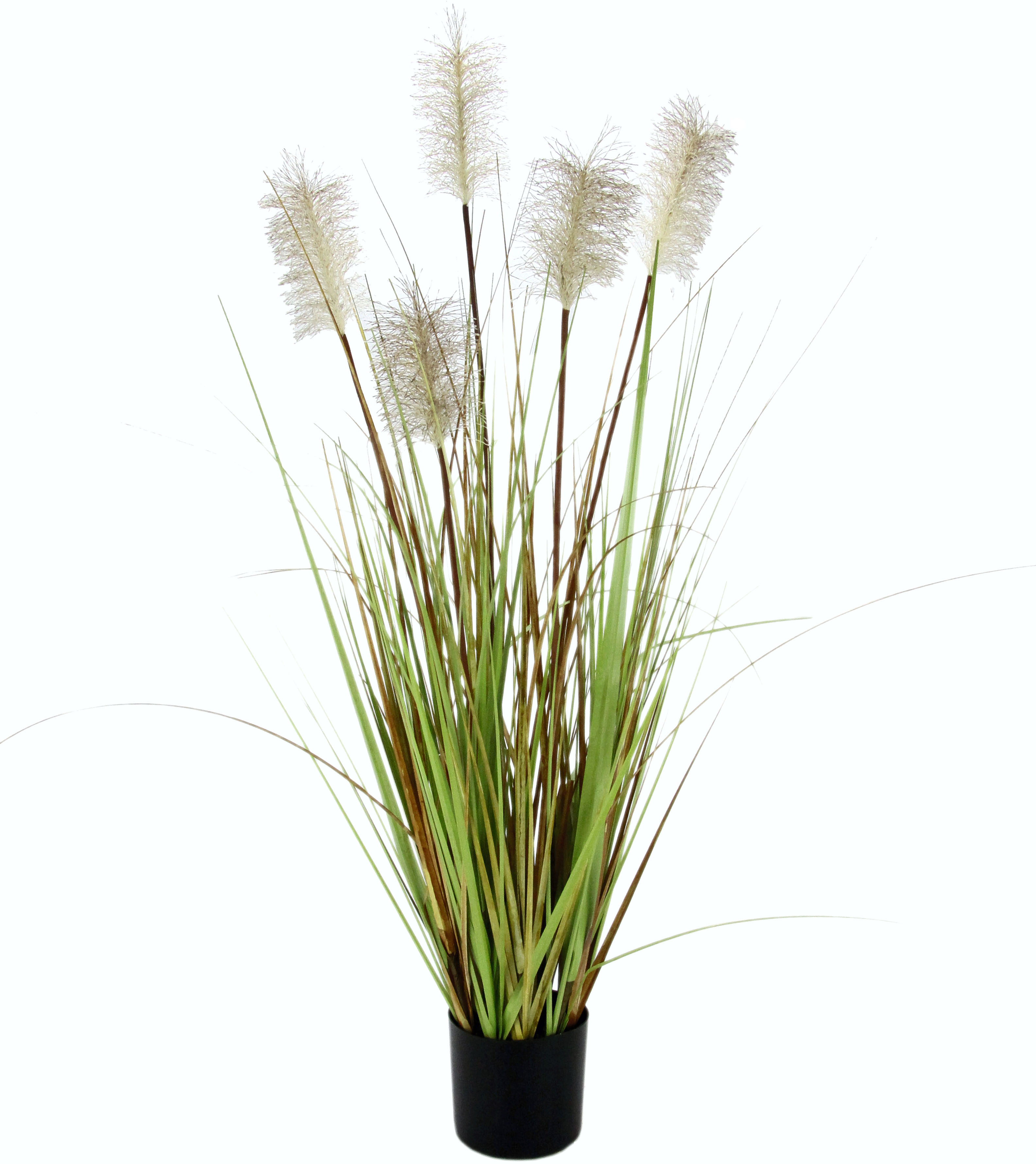 Kunstgras I.GE.A. "Pampasgras", beige (natur), B:28cm H:90cm, Obermaterial: 80% Kunststoff, 20% Polyester, Kunstpflanzen, im Kunststofftopf