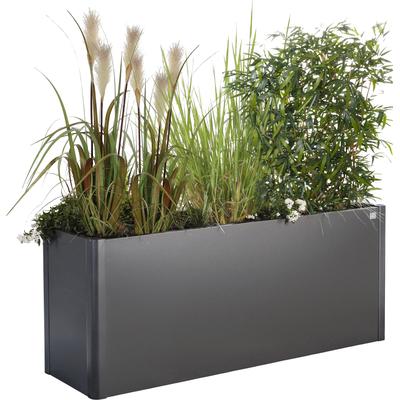 Hochbeet BIOHORT "Belvedere", grau (dunkelgrau, metallic), B:152cm H:61cm T:53cm, Stahlblech, Pflanzgefäße, BxTxH: 152x53x61 cm Image
