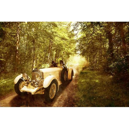 „PAPERMOON Fototapete „“Oldtimer in wald““ Tapeten Gr. B/L: 4,00 m x 2,60 m, Bahnen: 8 St., bunt Fototapeten“
