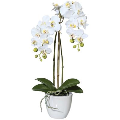 Kunstpflanze CREATIV GREEN "Orchidee Phalaenopsis", weiß, H:43cm, Kunststoff, Kunstpflanzen, im Keramiktopf