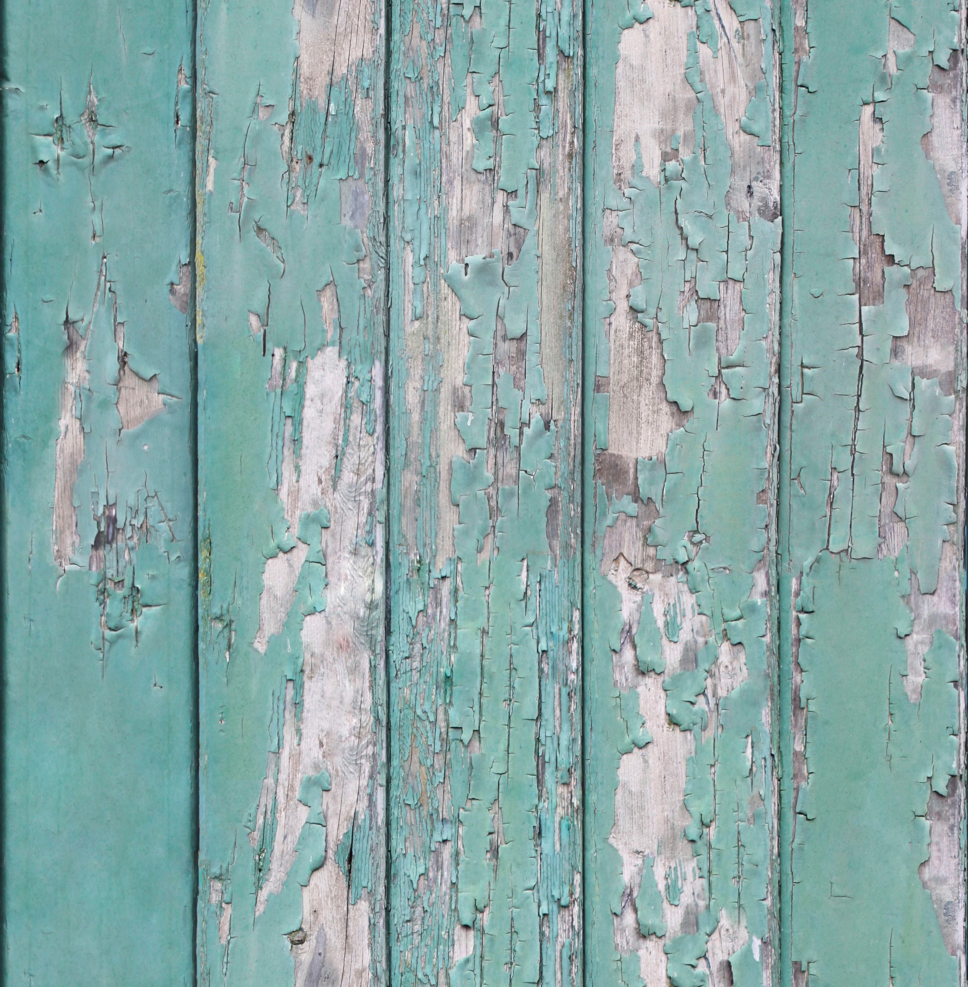 Vliestapete SUPERFRESCO EASY "Abgeblättertes Holz", grün, B:0,53m L:10,05m, Vlies, Tapeten, verwittertes Holz 10 m x 0.52 m Image