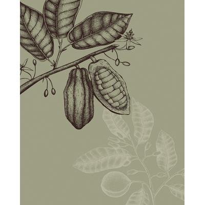 Bild KOMAR "Wild Cocoa", grün (farbe bild(er): grün), B:40cm H:50cm, Papier, Holz, Bilder, Wandbild zur Dekoration - ohne Rahmen Image