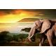 PAPERMOON Fototapete "Elefant von Kilimanjaro" Tapeten Gr. B/L: 5 m x 2,8 m, Bahnen: 10 St., bunt (mehrfarbig) Fototapeten