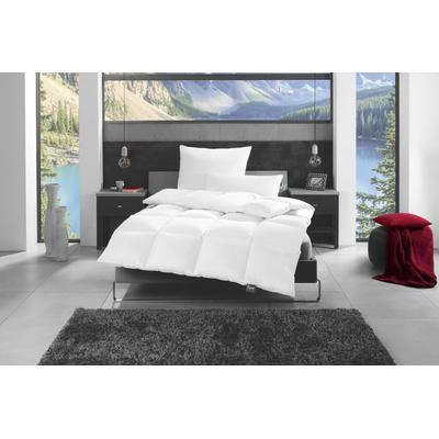 Federkopfkissen FAN "f.a.n. Canada", weiß, B:80cm L:80cm, Bezug: 100% Baumwolle. Füllung: 70% Entenfeder, 30% Entendaune, Kopfkissen Image
