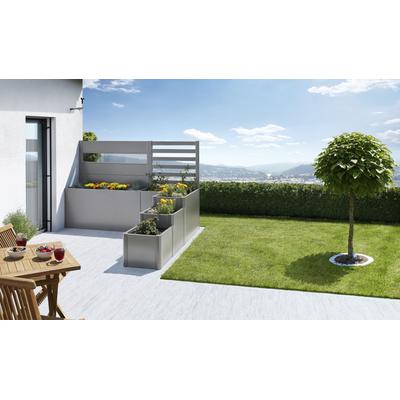 Hochbeet BIOHORT "Da Vinci", grau (quarzgrau, metallic), B:250cm H:168cm T:201cm, Stahlblech, Pflanzgefäße, BxTxH: 250x201x168 cm