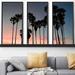 Picture Perfect International Venice Beach - 3 Piece Floater Frame Photograph on Canvas in Black/Blue/Pink | 41.5 H x 64.5 W x 2 D in | Wayfair