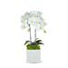 T&C Floral Company Orchid in Vase Plastic | 24 H x 5 W x 5 D in | Wayfair F2160WWA
