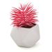Primrue 5.5" Artificial Fern Succulent in Decorative Vase Ceramic/Plastic | 5.5 H x 4 W x 4 D in | Wayfair AA6CF76D489D47168A106A64B094C293