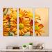 August Grove® Yellow Flowers In The Garden - Floral Framed Canvas Wall Art Set Of 3 Canvas, Wood in White | 20 H x 36 W x 1 D in | Wayfair