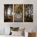 Ebern Designs Avenue Of Tall Trees In Ireland - Farmhouse Framed Canvas Wall Art Set Of 3 Canvas, Wood in White | 20 H x 36 W x 1 D in | Wayfair