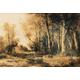 ARCHITECTS PAPER Fototapete "Atelier 47 Forest Painting 1" Tapeten Gr. B/L: 4 m x 2,7 m, braun (hellbraun, creme, dunkelbraun) Fototapeten