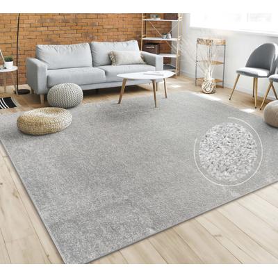 Teppich PACO HOME "Porto 890", silber (silberfarben), B:280cm H:13mm L:380cm, Obermaterial: 100% Polypropylen, Teppiche, Kurzflor, Uni-Farben, ideal im Wohnzimmer & Schlafzimmer Image