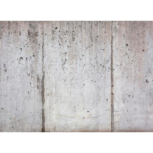 LIVING WALLS Fototapete ""Beton"" Tapeten Fototapete Floral Grau weiß 3,50 m x 2,55 m Tapete Gr. B/L: 3,5 m x 2,55 m, bunt