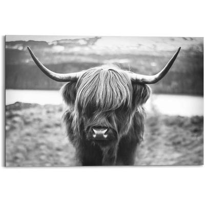 Wandbild REINDERS "Wandbild Schottische Hochlandrind Stier - Hörner - Hochplateau", schwarz (farbe bild(er): schwarz, weiß), B:90cm H:60cm, MDF, Bilder Image