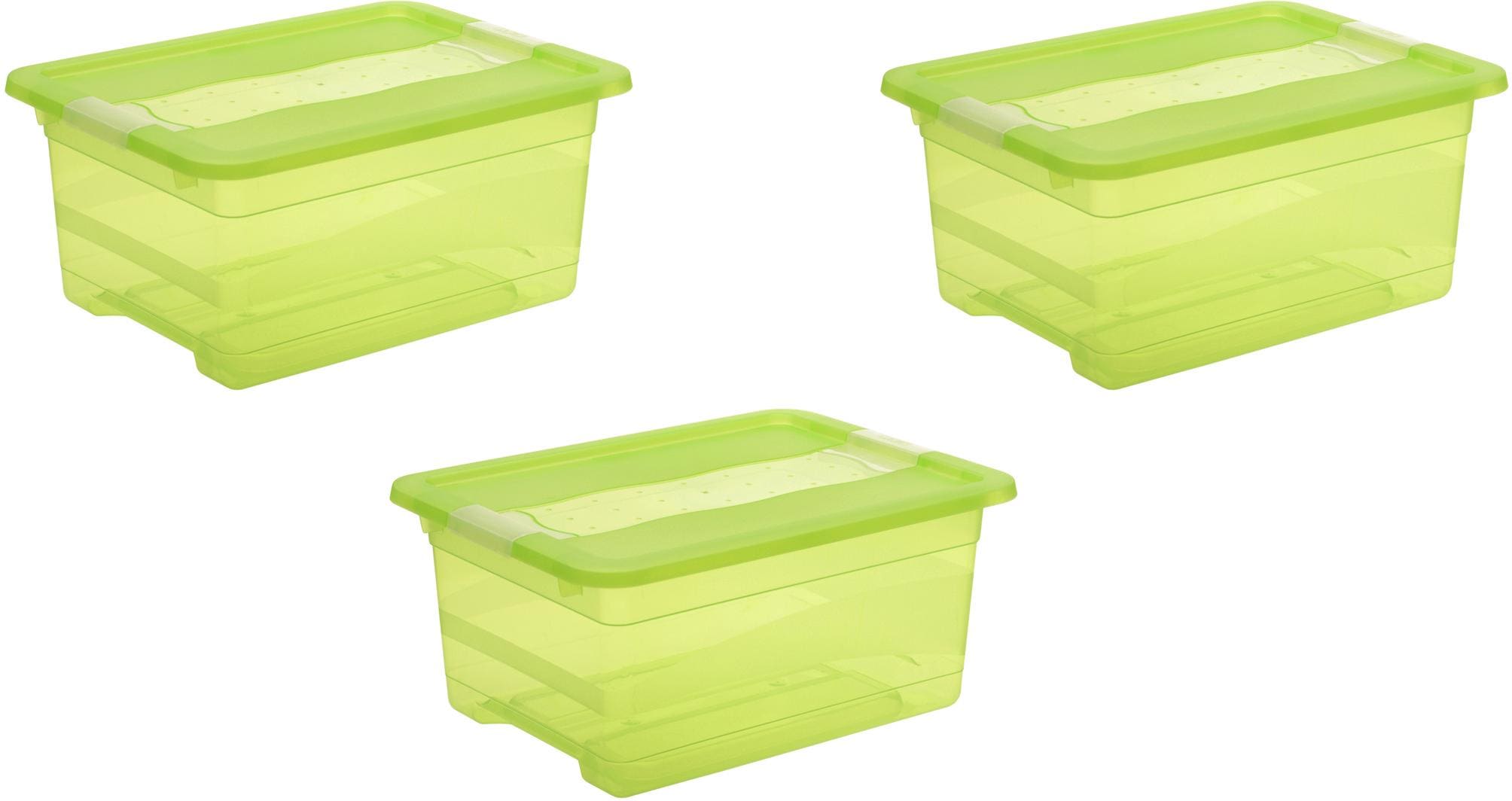 Organizer KEEEPER "cornelia", grün, B:29,5cm H:17,5cm T:39,5cm, Kunststoff, Aufbewahrungsboxen, Aufbewahrungsbox, 12 L, mit Deckel, Schiebeverschluss Image