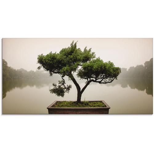 "Glasbild ARTLAND ""Chinesischer Bonsaibaum"" Bilder Gr. B/H: 100 cm x 50 cm, grün Bilder"