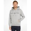 Kapuzensweatshirt TOMMY HILFIGER "TOMMY LOGO HOODY", Herren, Gr. XL (52/54), grau (cloud htr), Obermaterial: 72% Baumwolle, 28% Polyester, casual, Basic schmal, Langarm Rippbündchen, Sweatshirts