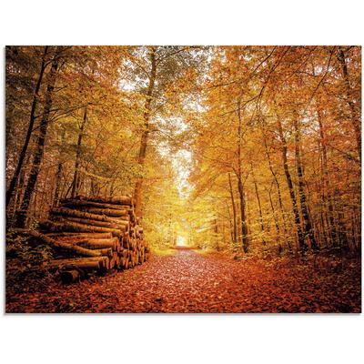 Glasbild ARTLAND "Herbstlandschaft", rot (farbe bild(er): rot), B:80cm H:60cm, Bilder, in verschiedenen Größen Image