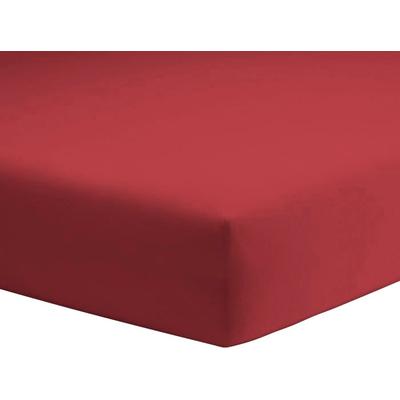 Spannbettlaken SCHLAFGUT "Mako-Jersey aus 100% Baumwolle, Bettlaken", rot (kirsche), B:180-200cm L:200cm, Mako-Jersey, Obermaterial: 100% Baumwolle, Laken, für Matratzen bis 20 cm Höhe, in 90x200, 140x200 oder 180x200 cm Image
