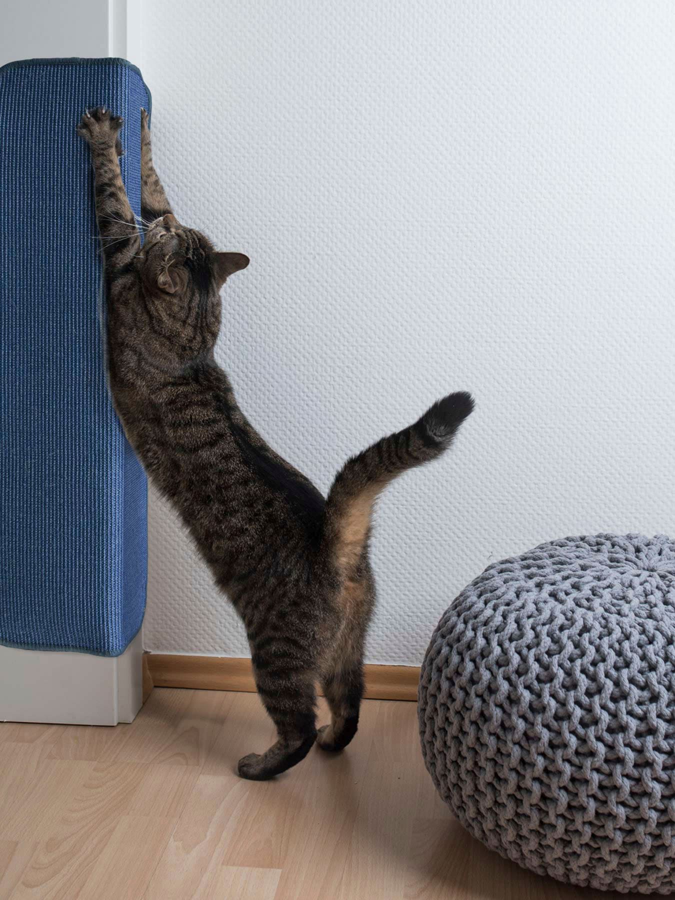 Kratzbrett "Katzen-Kratzmatte SISALLUX, Made in Netherlands", blau, B:100cm H:0,6cm L:200cm, Sisal, PRIMAFLOR-IDEEN IN TEXTIL, Kratzbretter, Kratzteppich, Sisal, in verschiedenen Größen, vielseitig einsetzbar Image