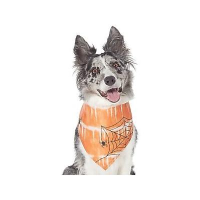 Frisco Orange Spiderweb Dog & Cat Costume Bandana, Medium/Large