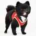 Red Step-In Soft Vest Dog Harness II, Small