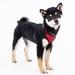 Red Superior Soft Dog Harness with Adjustable Neck, Large