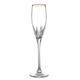 Vera Wang Wedgwood 1060715 Flute Pair, Crystal, Clear