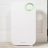 OVAL AIR 3-Stage H13 True HEPA 5-in-1 Air Purifier for Rooms up to 600 sq. ft. reduces Allergies, Asthma, Pets, Odor, Smoke