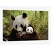 East Urban Home 'Giant Panda Gongzhu & Cub' Photographic Print on Canvas Canvas, Cotton in Black/Brown/Green | 12 H x 18 W x 1.5 D in | Wayfair