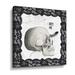 The Holiday Aisle® Arsenic & Anatomy V - Graphic Art on Canvas Canvas, Linen in White | 14 H x 14 W x 2 D in | Wayfair