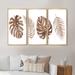 Bay Isle Home™ Tropical Monstera & Palm Leaf In Terracotta - 3 Piece Floater Frame Painting on Canvas in White | 20 H x 36 W x 1 D in | Wayfair