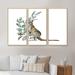 Winston Porter Kangaroo w/ Eucalyptus Leaves - 3 Piece Floater Frame Print on Canvas Metal in Brown | 32 H x 48 W x 1 D in | Wayfair