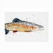 Rosecliff Heights Alaine Watercolor Rainbow Trout I Outdoor Wall Decor All-Weather Canvas, Wood in White | 30 H x 47 W x 1.5 D in | Wayfair